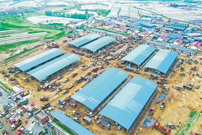     年销售肉牛25万头的单家集活畜交易市场。