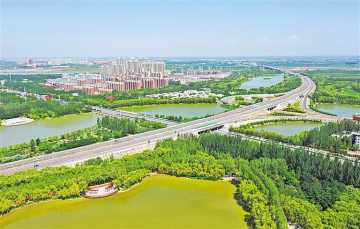 吴忠近70万亩湿地水清岸美鸟翩跹