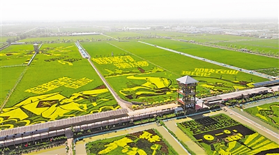     稻渔空间生态休闲观光园。