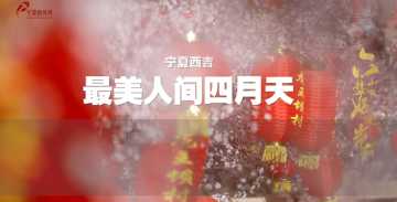 六盘山下好风光——四月西吉，桃花灼灼醉春光