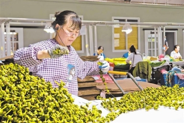 固原：民企“借窝孵鸡” 乡村“借鸡生蛋”