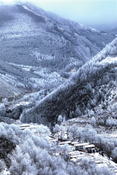     雪凇是冬天独有的颜色。@王军兵 摄