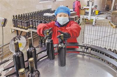<p>　　1月12日，银川市西夏区志辉源石酒庄，葡萄酒灌装生产线全速运行。宁夏以贺兰山东麓葡萄酒地理标志产品保护区范围为核心，以三市九县和6个国有农场为重点，力争用5至10年时间，使酿酒葡萄基地规模达100万亩，年产优质葡萄酒3亿瓶以上，努力实现葡萄酒产业综合产值1000亿元、贺兰山东麓葡萄酒品牌价值翻番的目标。　　　　　　　　　　　　　　　　　　　　　　　　　　　　　　　　　　　　　　　　　　　　　本报记者　党硕　摄</p>