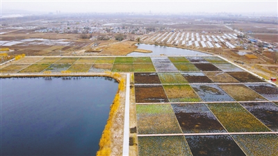 <p>　　中卫莫楼人工湿地。本报记者　马照刚　摄　　</p>