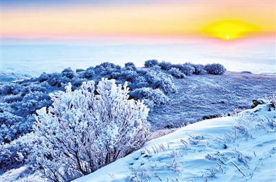 <p>　　雪后的罗山自然保护区。“林长”当家，实现“山有人管、林有人护、责有人担”。本报记者　杜晓星　实习生　彭斌　摄</p>