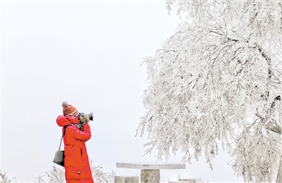 <p>　　雾凇美如画</p><p>　　1月22日，固原市原州区境内陆续出现雾凇景观。东岳山雾凇弥漫，树木银装素裹。本报通讯员　杨雪梅　摄　　</p>