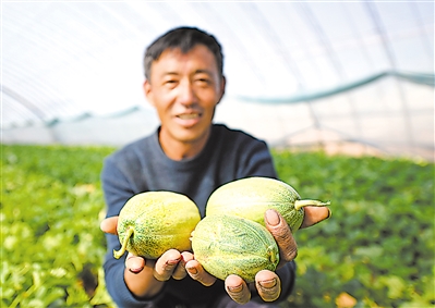 <p>　　盐池县青山乡发展以“芝麻香瓜”为主的瓜果蔬菜类设施农业，带动瓜农户均增收5万元以上。</p>