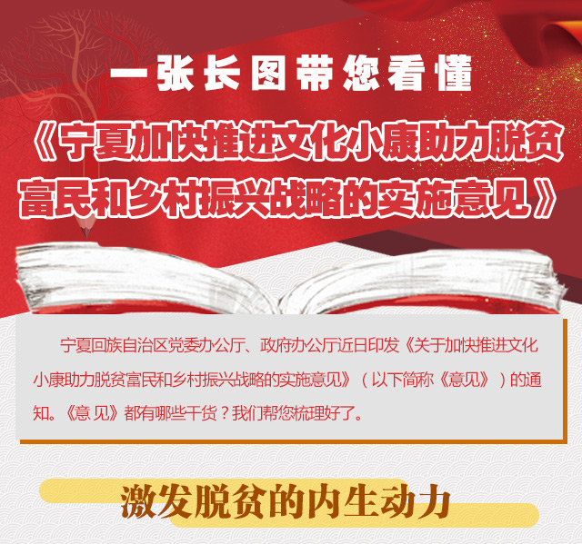 一张长图带您看懂《宁夏加快推进文化小康助力