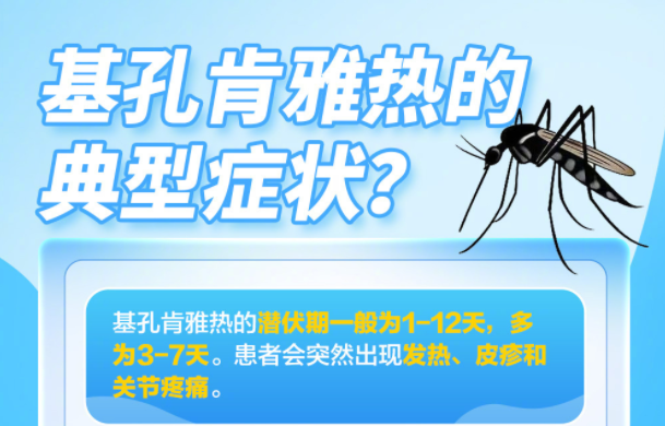 转扩！关于基孔肯雅热，这些你应知道