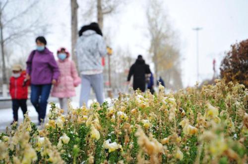 立冬时节，做好这几件事很重要！看完...