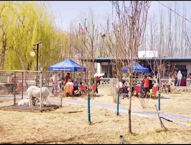 图片5.jpg
