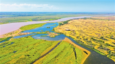 <p>　　黄沙古渡国家湿地公园。</p>