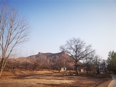 一场公路旅行后 与飞蔦集邂逅