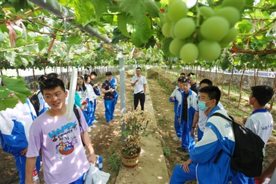 银川唐中学生在贺兰参加劳动研学活动。　受访者供图