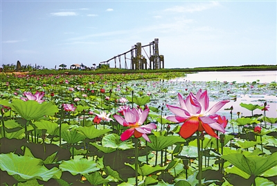 <p>　　鸣翠湖</p>