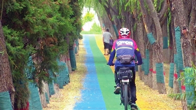 银川市宝湖路慢行绿道全线贯通，快去打卡彩虹步道
