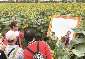 贺兰山向阳花海文化旅游艺术节开幕