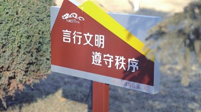 ycwbp6_b.jpg