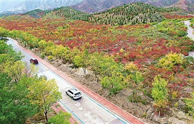 10月2日，石嘴山市大武口区北武当生态旅游区美景如画。 本报记者 王洋 摄