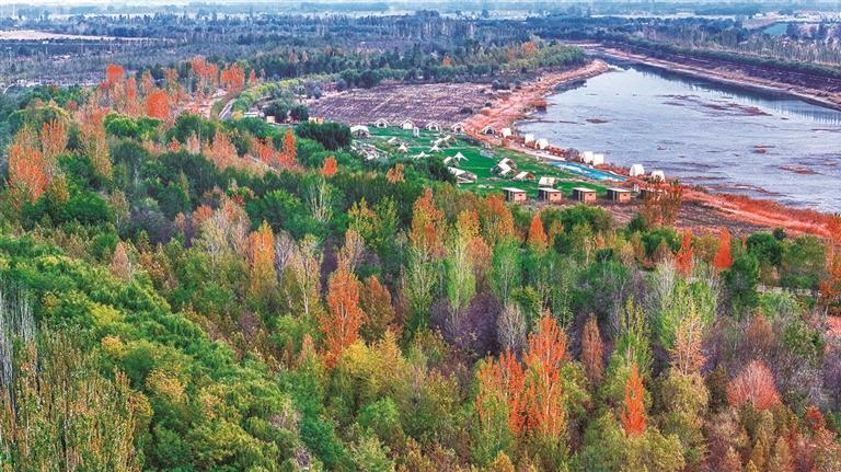 谁为湖城织秋锦