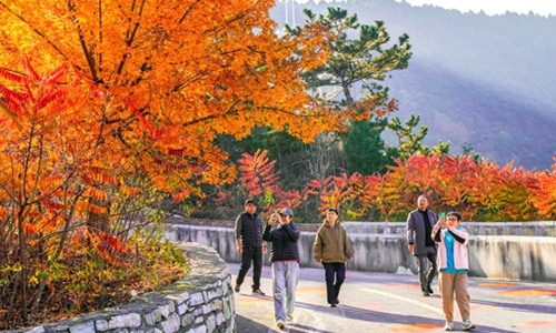 诗意中国丨碧涧流红叶 青林点白云