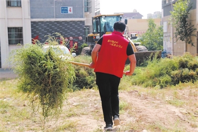     永宁县百余名志愿者走进全县各个社区清，理小区院落杂草、生活垃圾、帮助孤寡老人。　　@花无期 摄