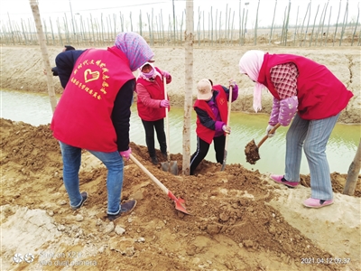 移民村巾帼志愿者植树护绿扮靓家园
