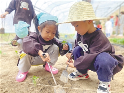 <p>　　开心地种下种子。</p>