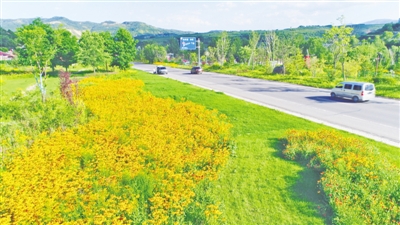 <p>　　泾源县境内的蜜源植物。</p>