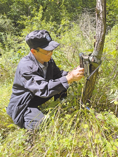 <p>　　保护区工作人员在野外调查。</p>