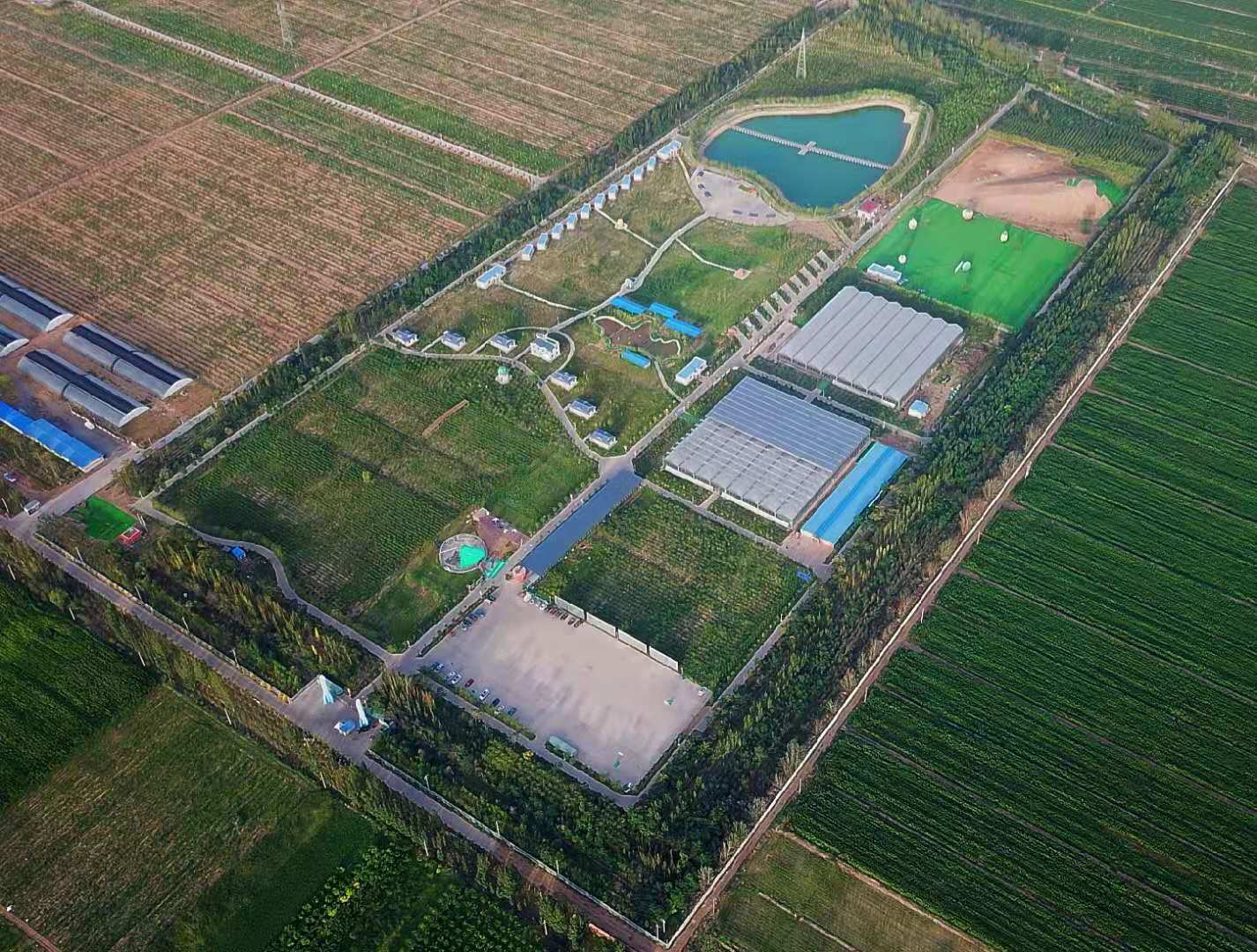红树莓3.jpg
