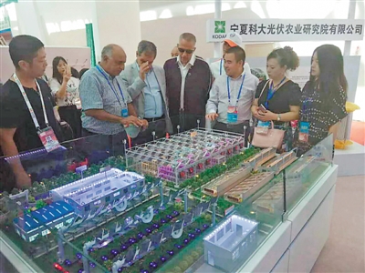 <p>　　宁夏科大光伏农业研究院有限公司借助中阿博览会的平台，邀请国外嘉宾参观技术成果展位。　　　　　　　　　　　　　　　　　　　　　　　（图片由受访者提供）</p>