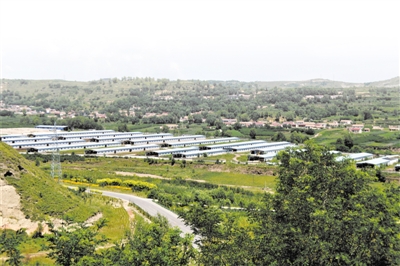 <p>　　冷凉蔬菜基地。</p>