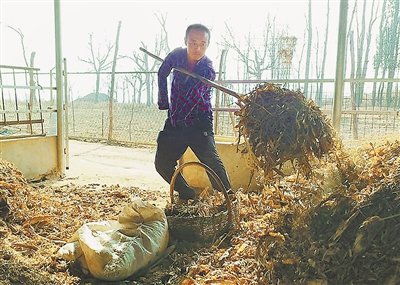 <p>　　（图片由受访者提供）</p>
