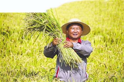 <p><span>　　③赵建文的目标是做好大米深加工产业。（摄于2019年9月）</span></p>