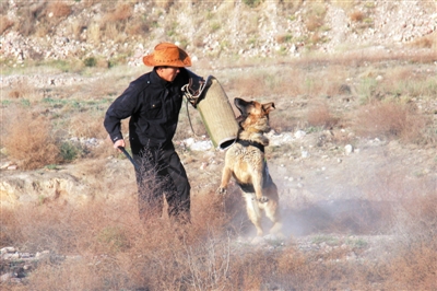 <p>　　训导员对警犬进行扑咬训练。</p><p>　　（照片均由自治区公安厅警犬基地提供）</p>