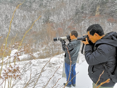 <p>　　摄影爱好者雪中拍摄六盘山美景。</p>