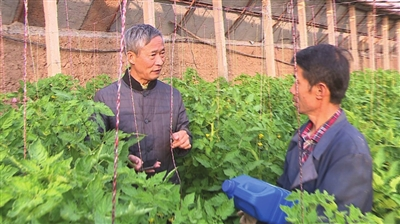 杨国清干一行就要干好一行