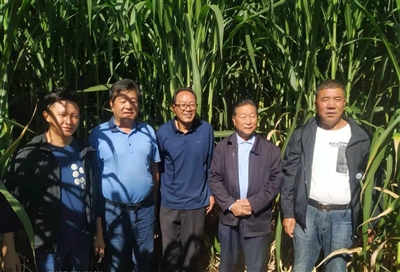 曾被“笑话”的汉子 带领移民摘穷帽