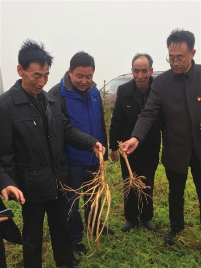 王玉富桑榆未晚退而不休为热爱而继续奋斗