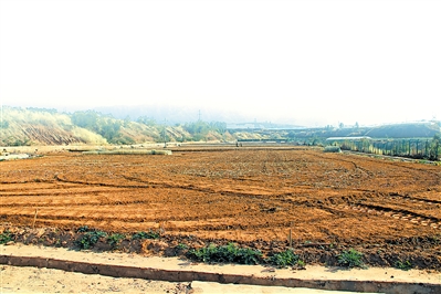 <p>  宁夏位于海南三亚的南繁基地试验田。(本版图片除署名外均由受访对象提供)</p>