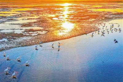 石嘴山市星海湖美景。（资料图片）