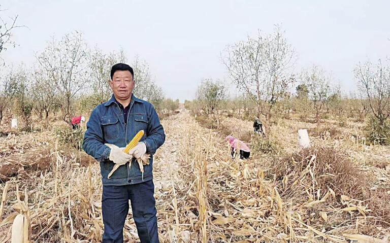QQ截图20221107075327.jpg