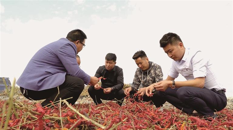 谢广洲：在新疆“熬”辣成金
