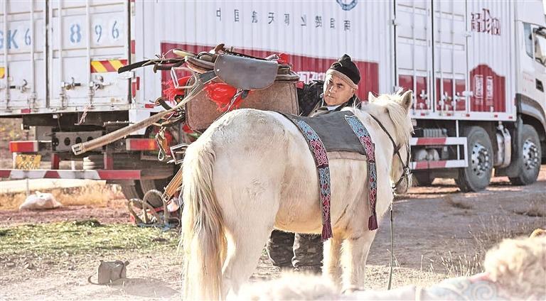 驼铃重响八百里