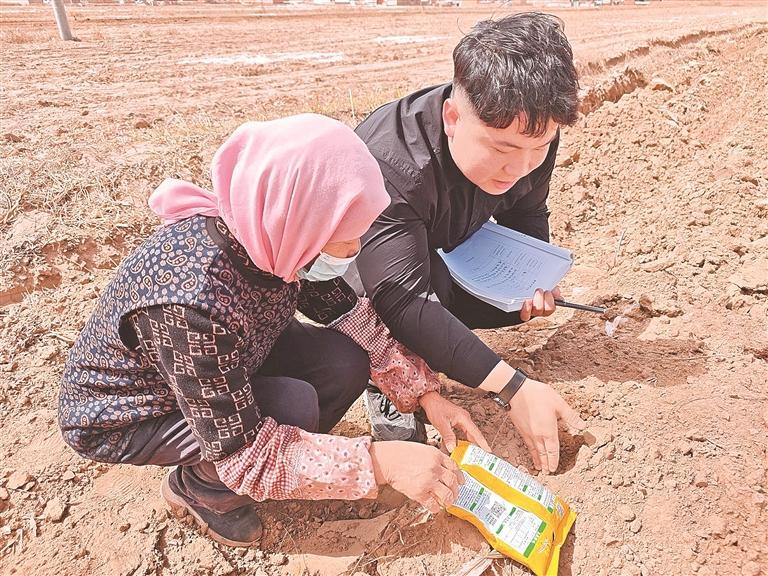 田世龙的泥土情缘