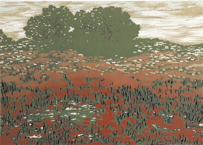 <p>　　秋天里</p>