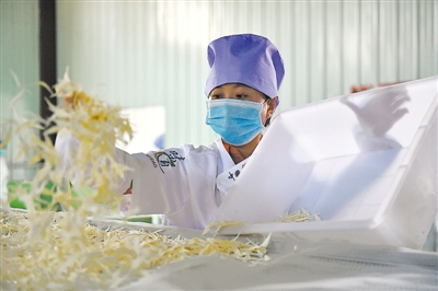<p>　　加工厂主要生产面叶、面线、猫耳朵等白面粉产品，还有果蔬面、荞麦面等订制产品。</p>