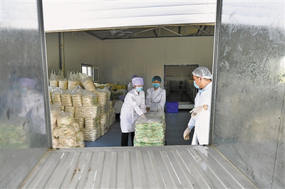 <p>　　通过客户自提和物流运输，加工厂的面条销往周边市场。</p>