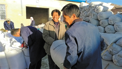 <p>　　张永军（右二）种植的小茴香将出口欧洲。</p>